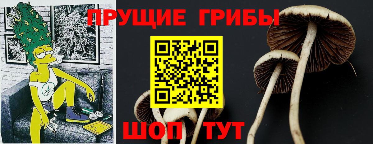 Псилоцибиновые грибы MAGIC MUSHROOMS Волжск