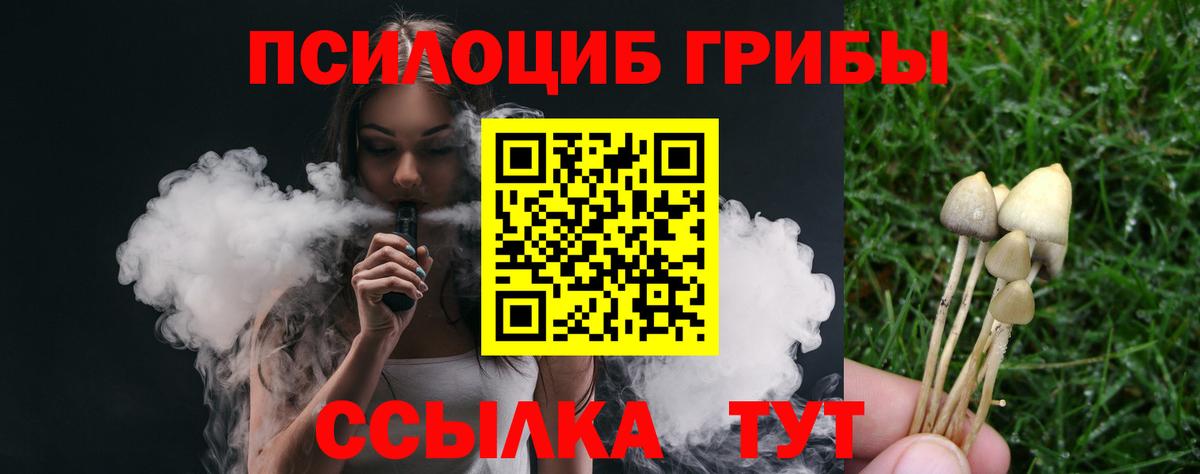 Псилоцибиновые грибы Cubensis  Вход с VPN  Волжск 